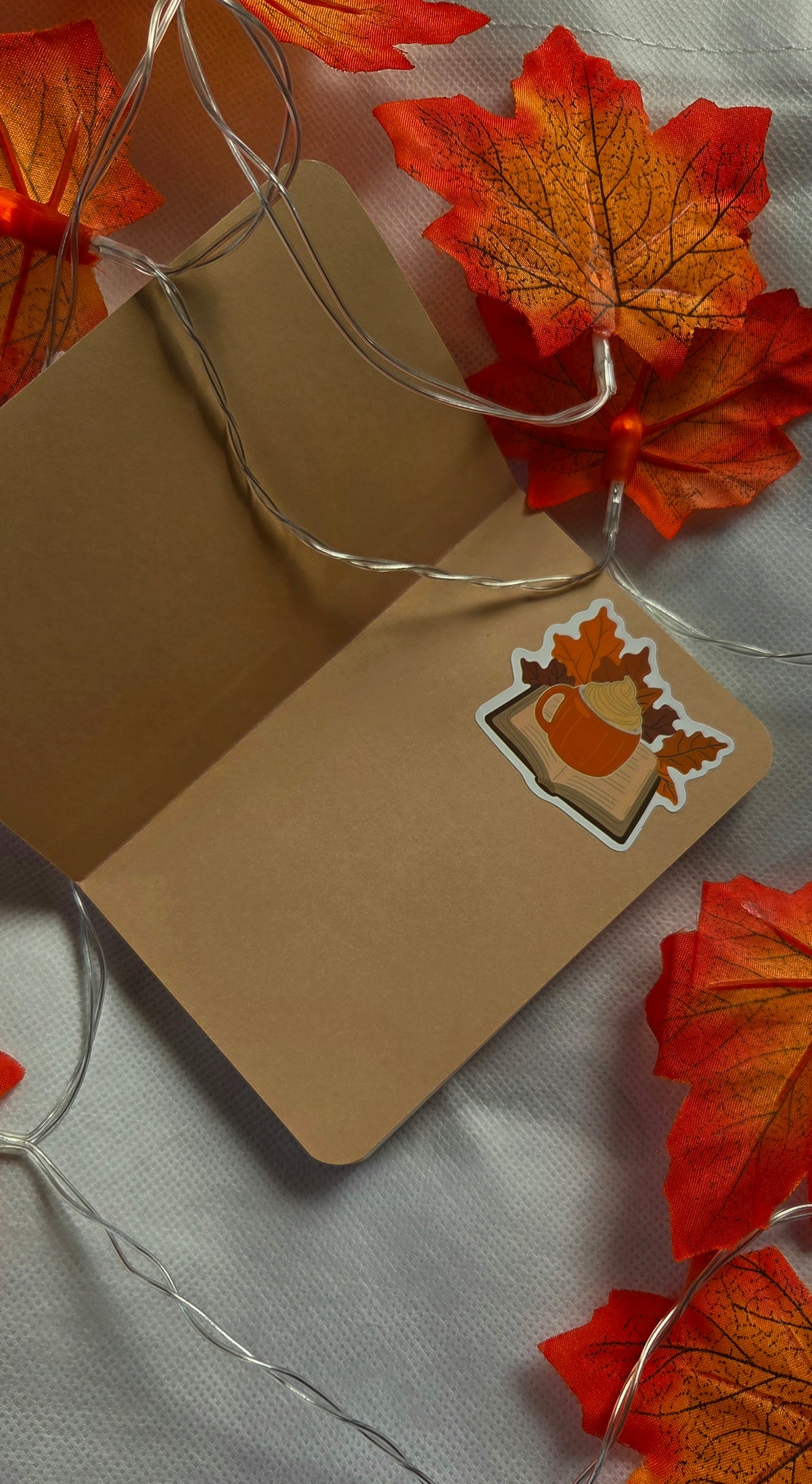 Box Gilmore Girls 🍂☕️🍁