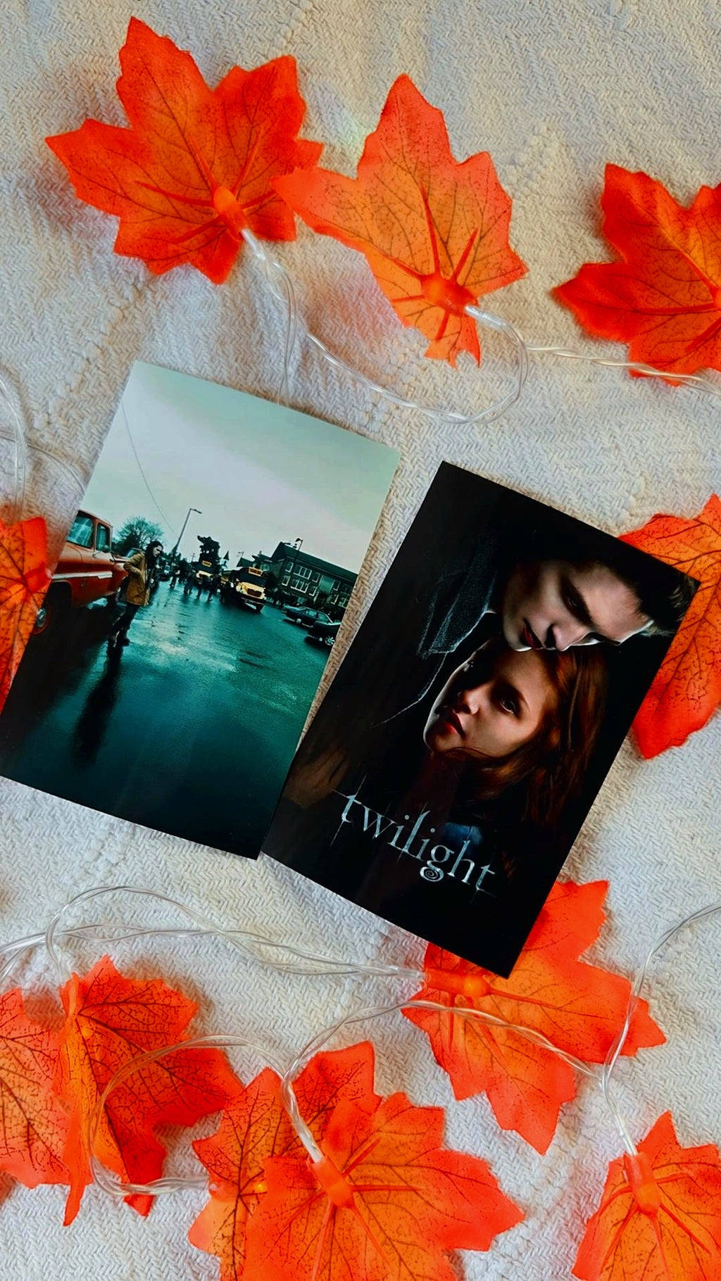 Twilight Saga Box ⚾️🌵🌲