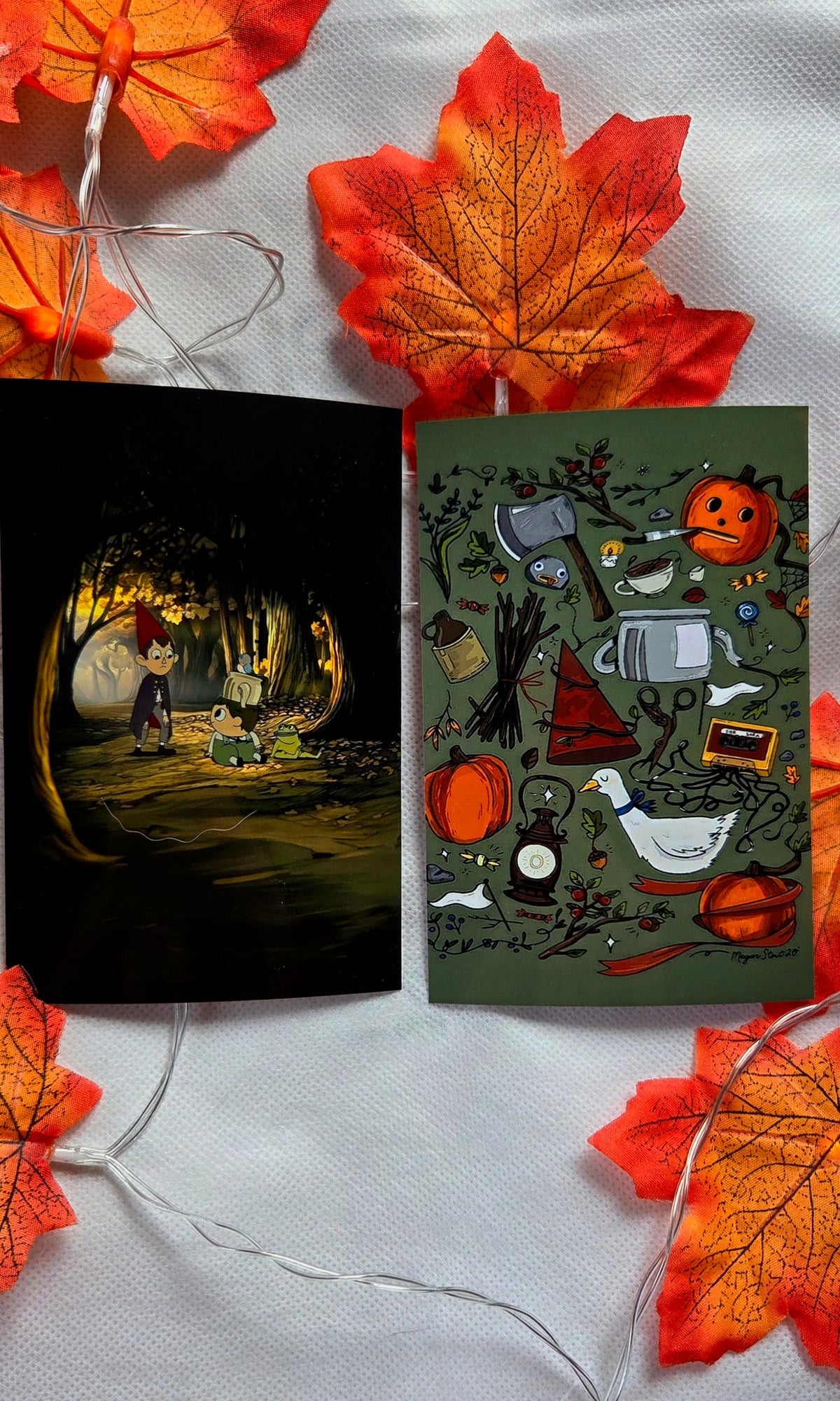Box Over the gardenwall 🐸🍁🍂