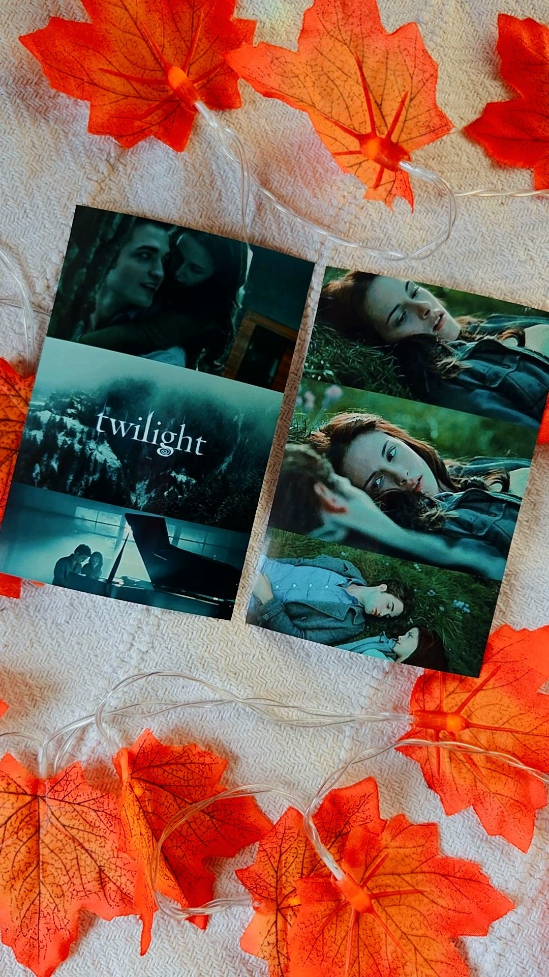 Twilight Saga Box ⚾️🌵🌲